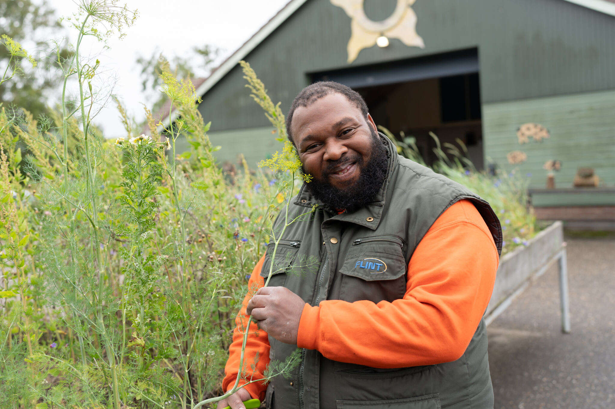 Hondsdraf Kleurkracht Maker van